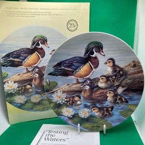 KNOWLES-TESTING THE WATERS- PLATE #3353A by Joe Thornburgh